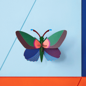 Wall Art - Acacia Butterfly