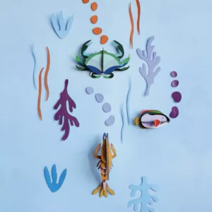 Wall of Curiosities - Ocean's Tale